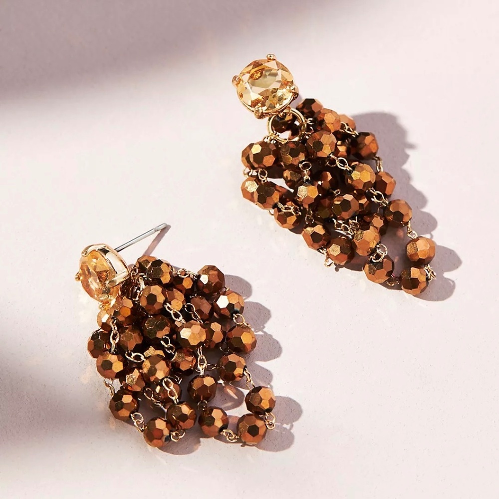 Anthropologie Gold and Brown Earrings